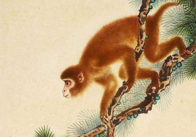 今晚四不像生肖图,探寻神秘与趣味的完美融合今晚四不像生肖图今期点评