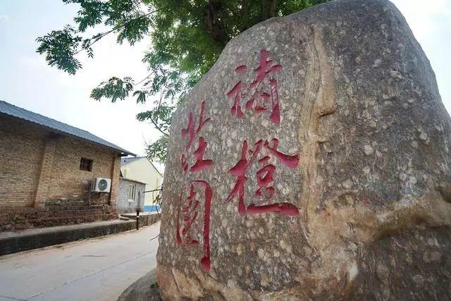 探秘大姐论坛,网络社区中的温暖与力量大姐cctv