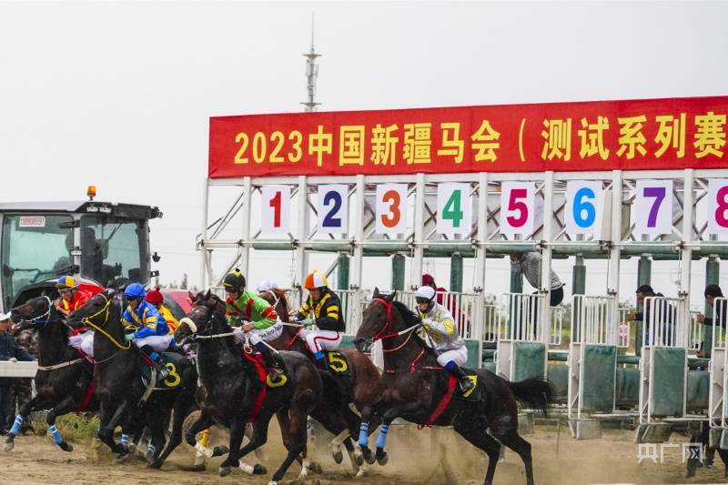 探索1326-CC马会,正版图片的魅力与价值13262cc马会正版图片2023年版