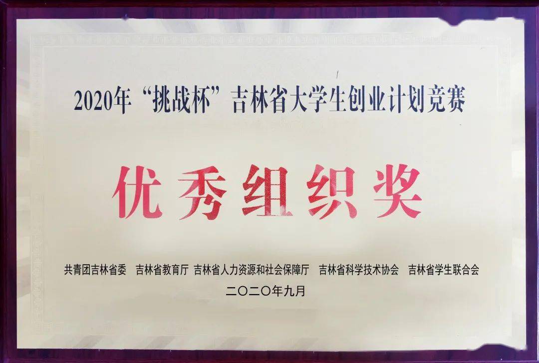 正版权威指南
