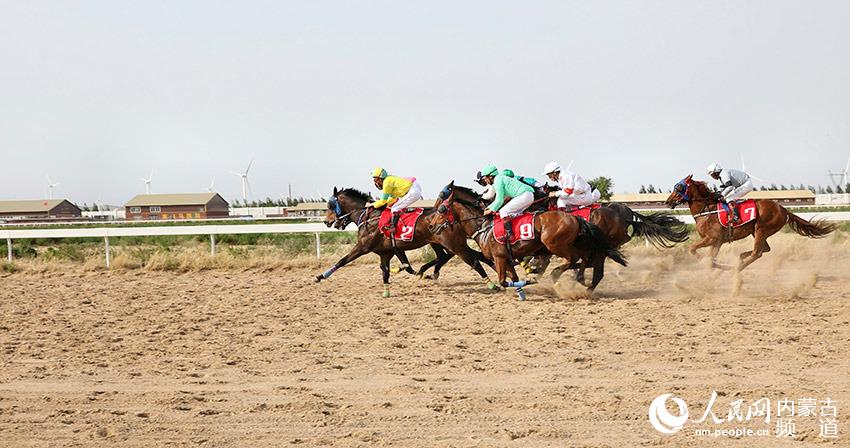 2019年香港马会内部免费资料，揭秘赛马的背后与策略香港马资料大全2019