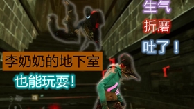 揭秘王中493的传奇与真相—从数字到文化的深度解析王中王493333中特马诗
