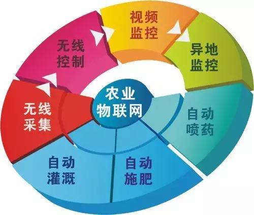 探索香港马会免费资源大全，解锁知识与娱乐的宝库