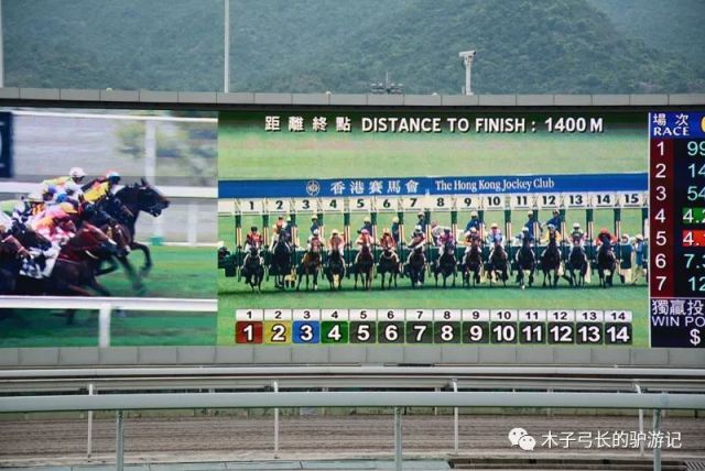 探索香港马会全年资料大全，赛马的辉煌与慈善的足迹香港2021年马会资料大全