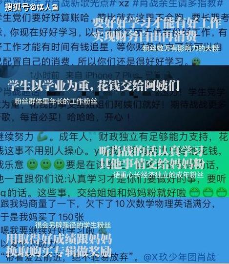揭秘四肖八码中特期,精准预测的背后与理性分析四肖八码中特期期准精选资料丿做牛做马