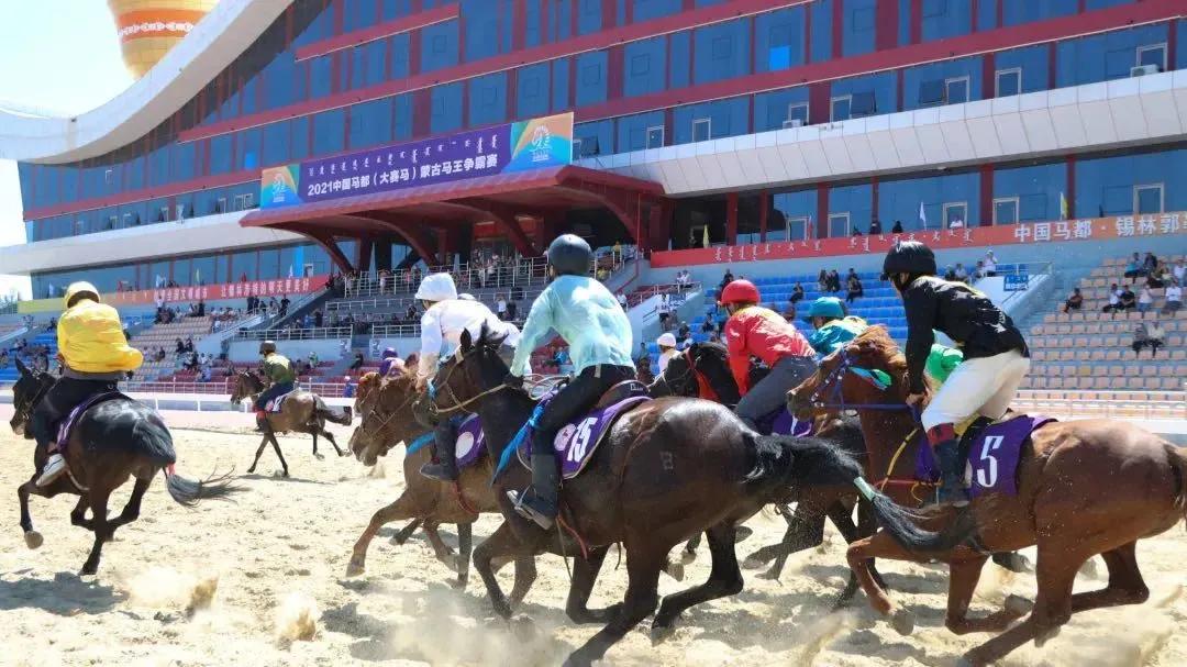 探索香港全年资料马会大全，赛马的激情与文化的交融香港2021年马会资料大全