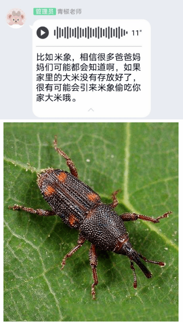 探索天牛3D图库与红五图的奇妙世界，汇总解析天牛3d图库红五图库汇总160期3#开奖号