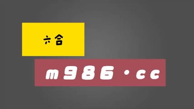 探索数字世界的宝藏，白姐图库的魅力之旅白姐图库997998