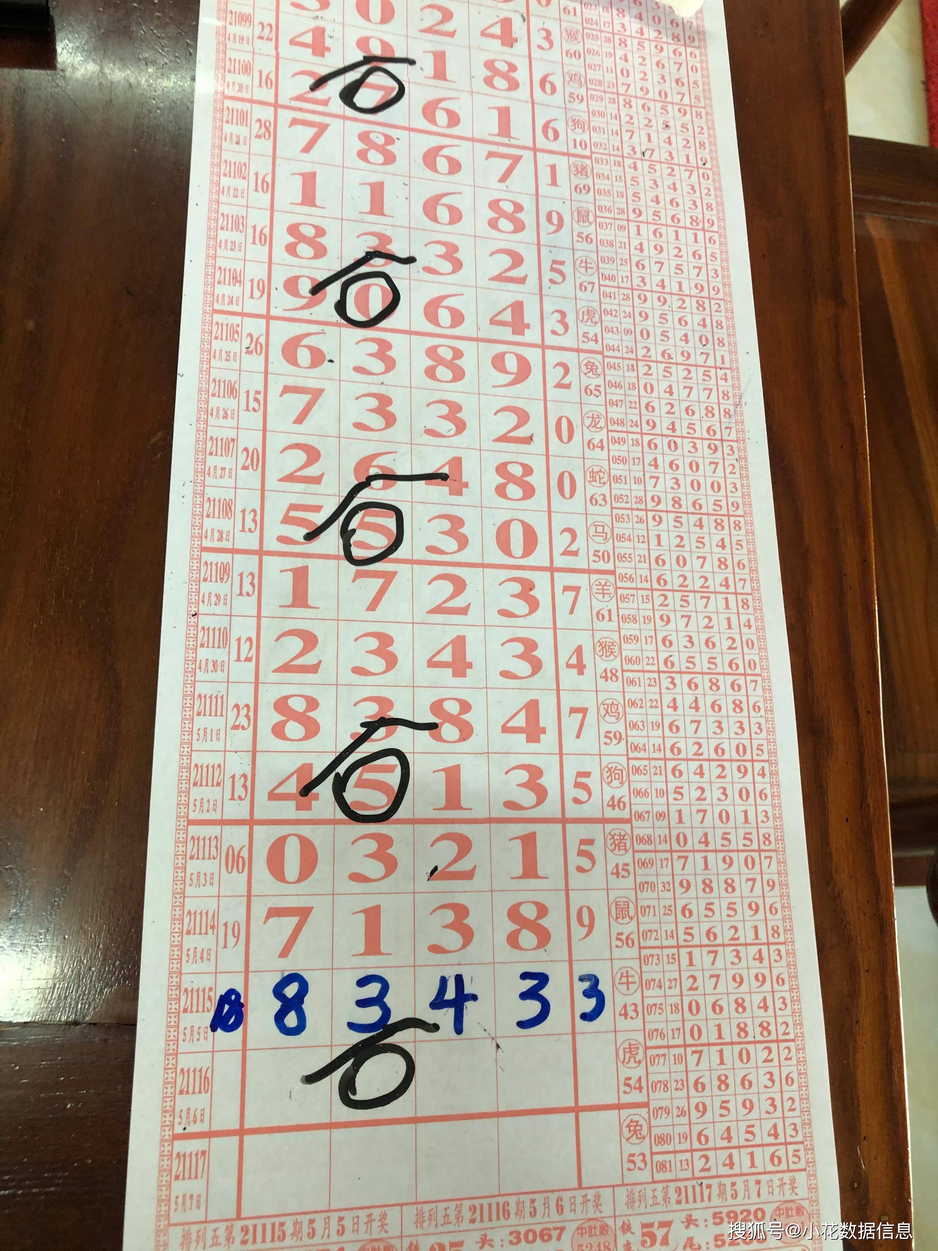 数字与生肖文化融合