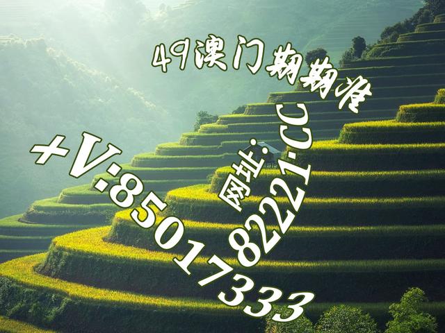 探索数字世界的宝藏，白姐图库的魅力之旅白姐图库印刷