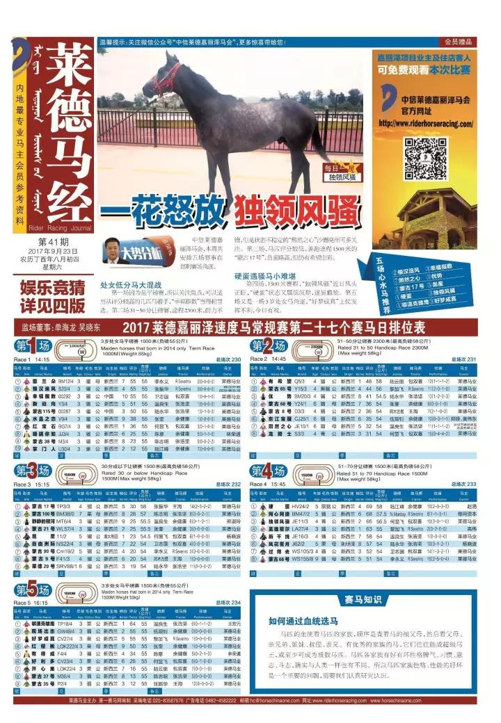 揭秘正版马会传真资料，真相与误区正版马会传真资料+内部