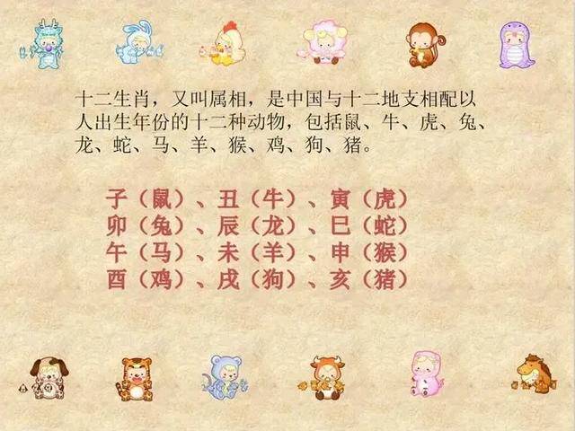揭秘特码表，数字背后的奥秘与陷阱2024十二生肖49码表