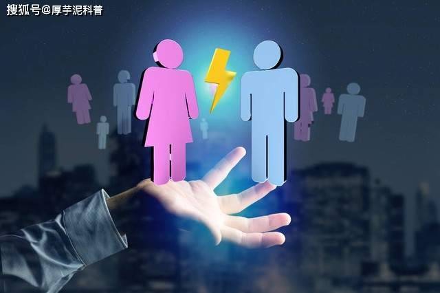 揭秘特码表，数字背后的神秘与真相2025生肖49码表图片