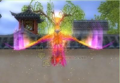 探索无翼鸟图库,数字时代的艺术与创意之窗无翼了鸟