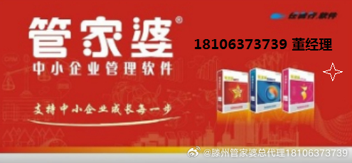 管家婆正版，全年免费资料的秘密与价值