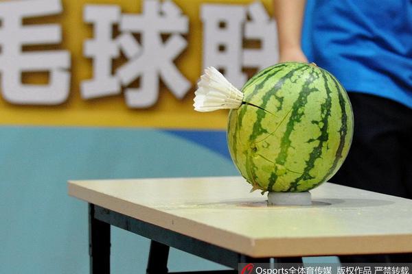蓝月亮精选料，二四六的智慧之选二四六蓝月亮精选料最新免费下载