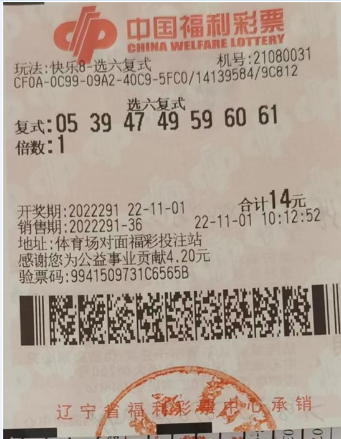 澳门官方彩票89167，理性与幸运的双重考量