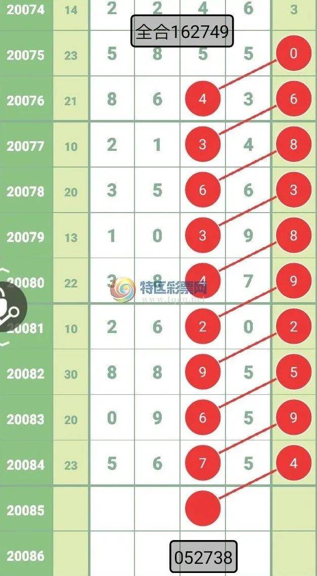 探索新澳彩2013年最新开奖记录，数字背后的奥秘与趋势分析澳彩2020开奖结果+开奖记录