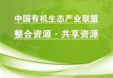 管家婆论坛，中小企业管理者的智慧交流平台管家婆论坛手机站2735