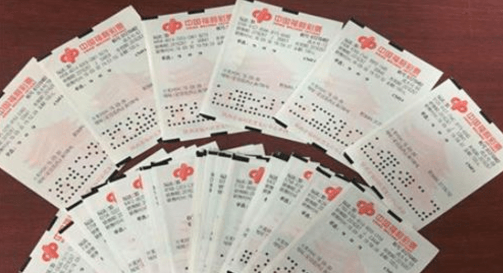 彩票信息平台