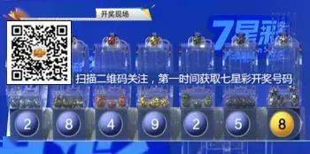 2018年今晚六会彩开奖结果，一场数字游戏的背后与影响2018年六开彩开奖直播现场资料