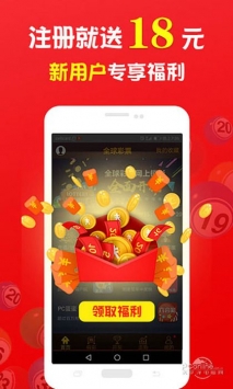 揭秘管家婆2019开奖结果—理性看待彩票，享受游戏乐趣的平衡之道管家婆开奖结果出2019