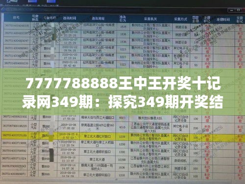 揭秘王中王的秘密，49325背后的故事与思考王中王开奖结果 查848484