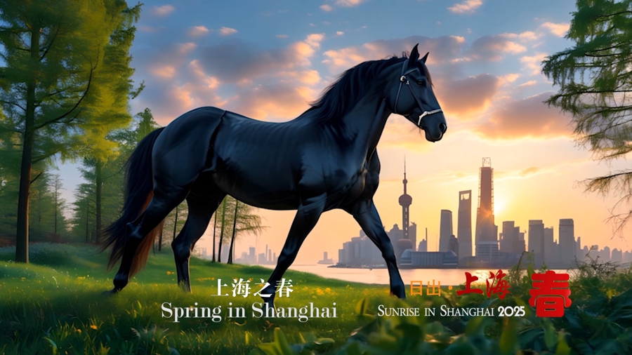 探索新澳马，今天最快最新的图库揭秘新澳马今天最快最新图库223期四不像图片