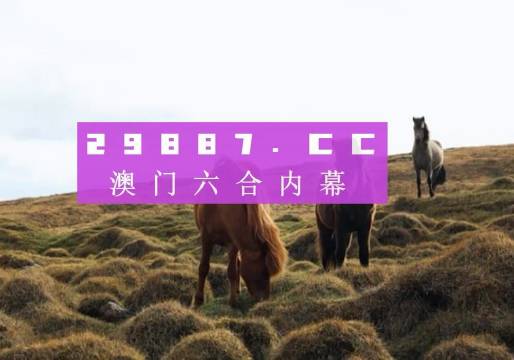 领导介绍 第33页