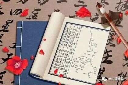 培训辅导 第31页