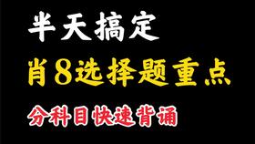 2036年，未来管家婆的智慧选择—一肖独步，码动乾坤？不存在的！管家婆一三肖必中特