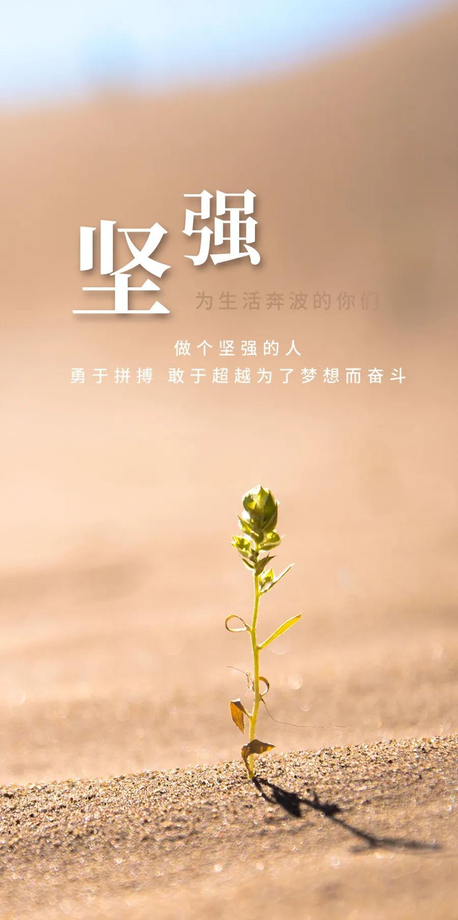 今晚六给彩，揭秘开奖号码背后的故事与理性投注今晚六给彩开奖号码2021