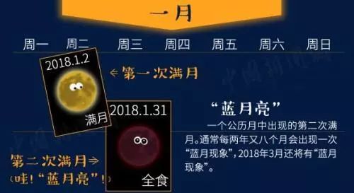 蓝月亮料全年资料大全，深度解析与实用指南蓝月亮料全年资料大全新闻