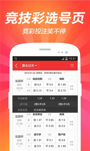 2014澳门今期开奖结果查询，揭秘彩票背后的故事与影响2o24澳门今期开奖结果查询251