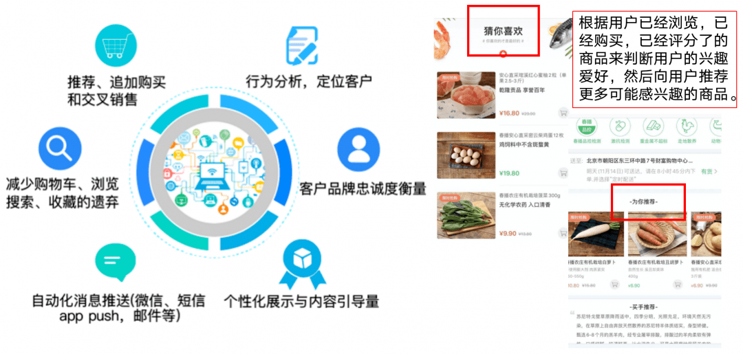 揭秘管家婆精准一肖的真相，理性对待预测与概率