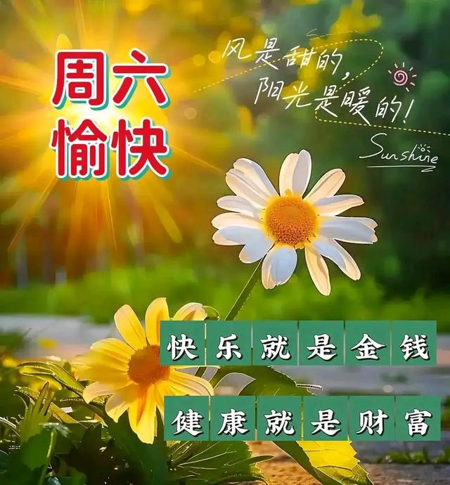 二 四 六 天 好