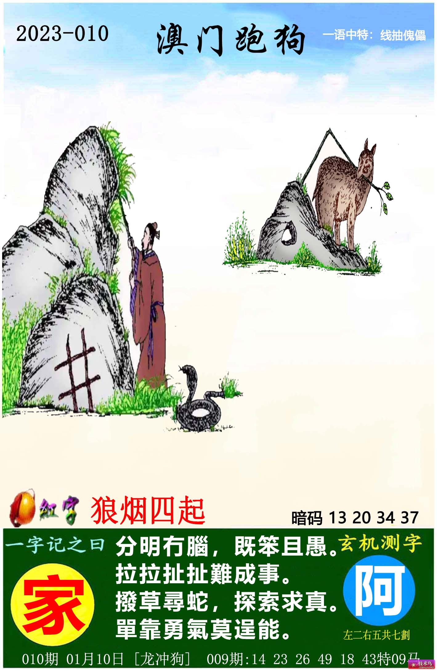 探索新跑狗高清彩图，一场视觉与智慧的盛宴新跑狗图+高清自动更新