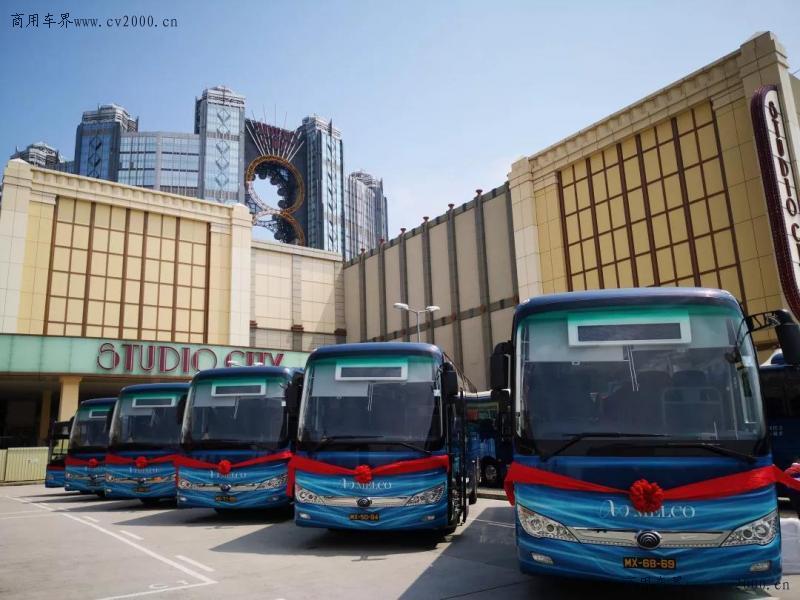 解析新澳门彩出号综合走势图表，五行视角下的数字奥秘新浪澳门即时动态