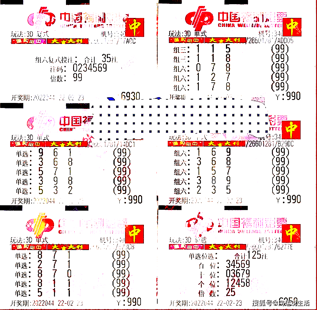 澳门新春彩梦，2013年今晚开奖结果揭秘生肖奇缘新澳门开奖记录2023年今晚开奖结果是什么生肖啊