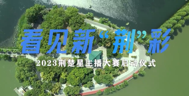 澳门新彩，2013年今晚开奖结果最新查询指南澳门202|开奖结果