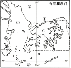 新澳门出彩综合走势图2014年3月最新深度分析与展望澳门新问