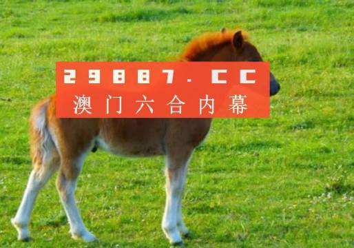 今日新澳门开奖结果查询指南，最新表格与实用技巧今天新澳门开奖结果查询表格最新消息