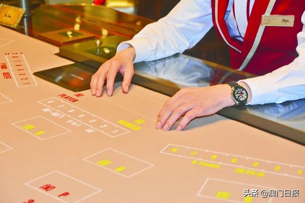 澳门新走势，全面解析最新资料与图片查询指南2021澳门走势图
