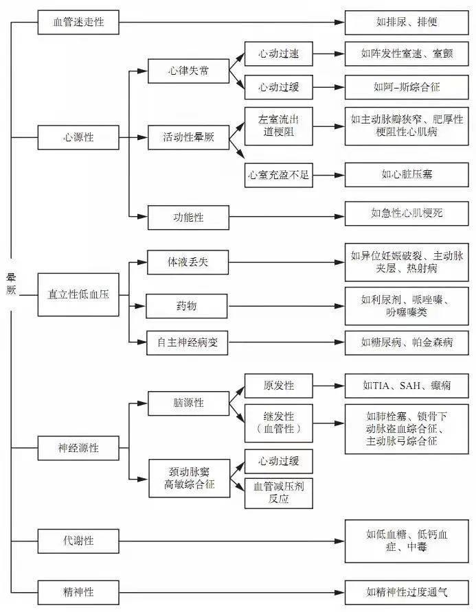 探索新澳门204年85期开奖结果，数字背后的奥秘与期待新澳门2024年85期开奖结果查询表
