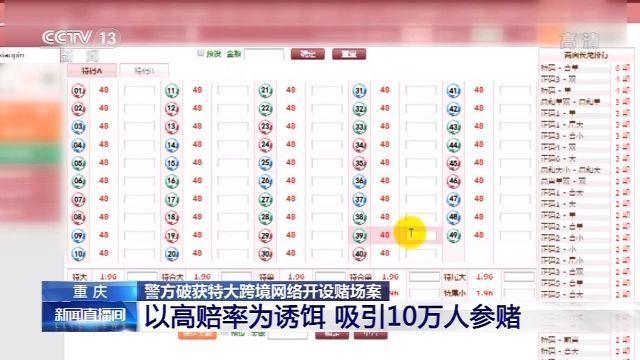 澳门新彩官方网站开奖结果查询表最新版，透明、公正与安全的投注体验新澳门官方网站开奖结果查询表最新版下载